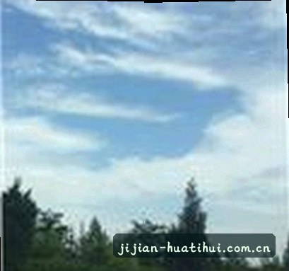 吴芸